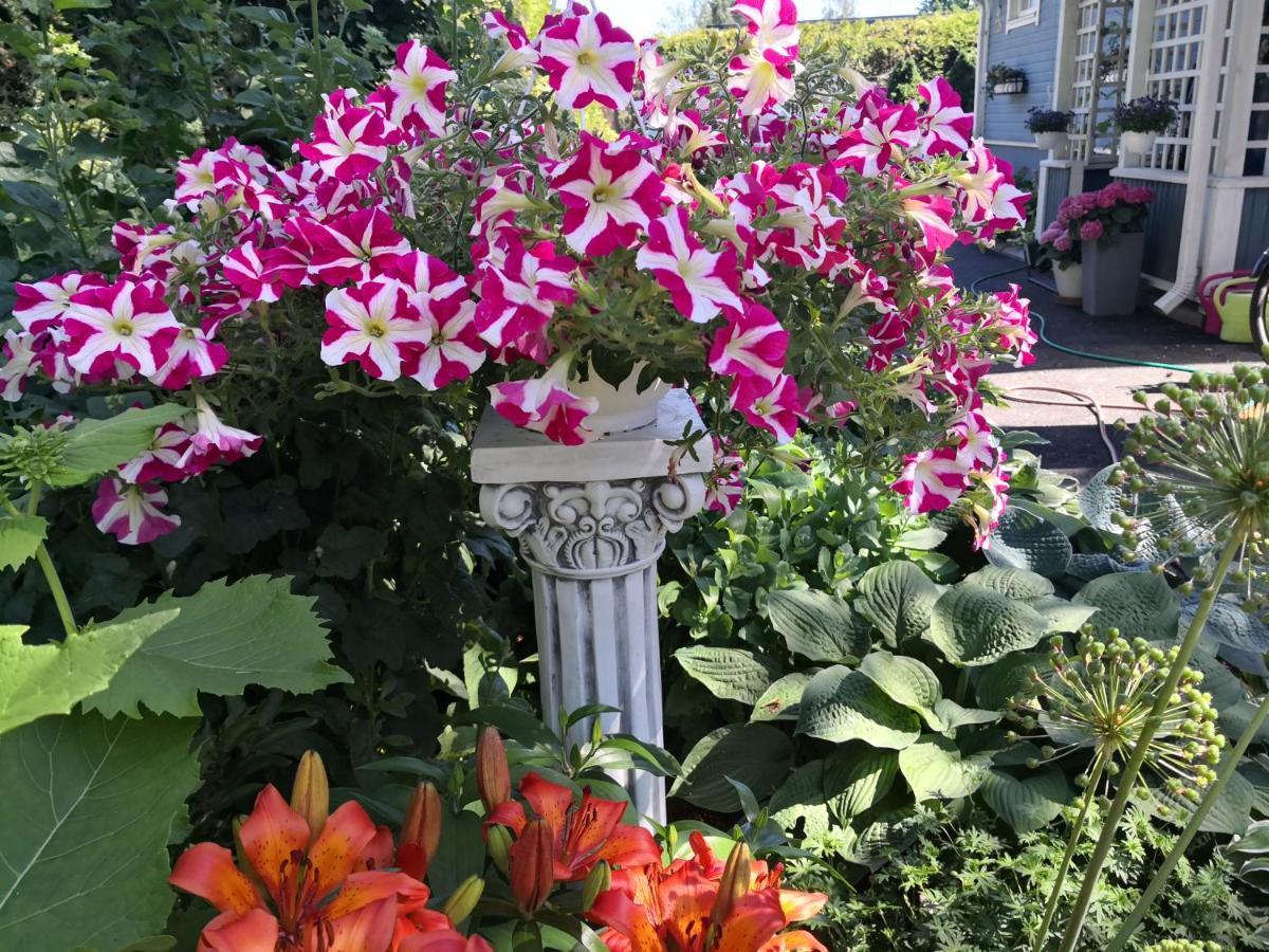 Lovely Mint Garden Studio Vantaa Luaran gambar