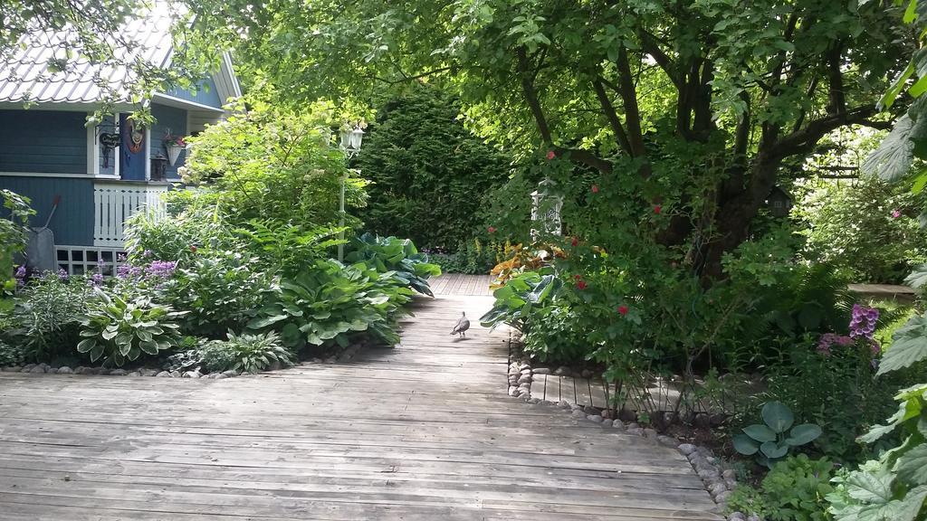 Lovely Mint Garden Studio Vantaa Luaran gambar